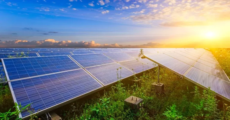 enea-impianto-algovoltaico